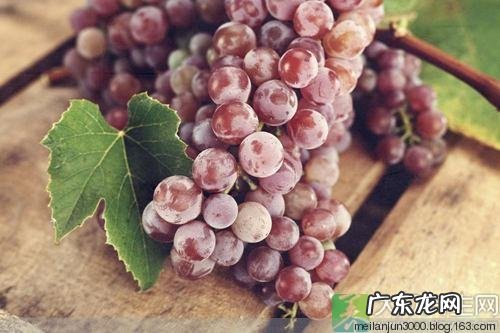 吃葡萄的好处:葡萄皮别扔,它和它一起煮水喝,排出多年湿毒!