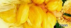 菠萝蜜切开后怎么保存,菠萝蜜切开后怎么保存不坏