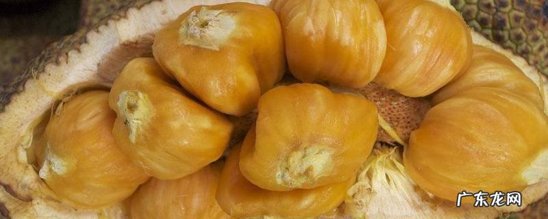 菠萝蜜切开后能继续熟吗,菠萝蜜切开了是不是就不会继续熟了