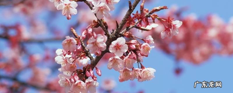 暮春是几月份,暮春是几月份适合播种么