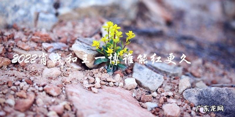 谁将成为下一个流量担当?2022,肖战和王一博,谁能红得更久?