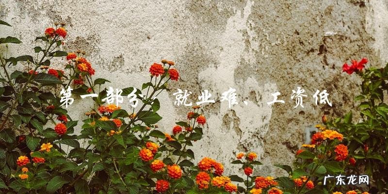 90后为何成为被坑最惨的一代?