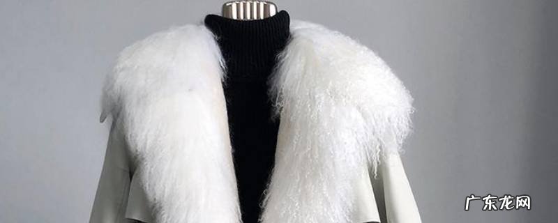 滩羊毛领怎么清洗,滩羊毛领子脏了怎么洗