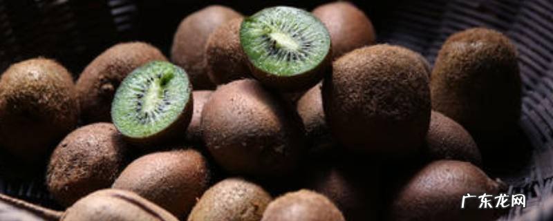 奇异果和猕猴桃的区别,绿心奇异果和猕猴桃的区别