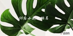谁是00后小花旦排名第一？最受欢迎的新生代女演员！