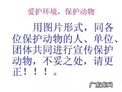 爱护与保护怎么区分
