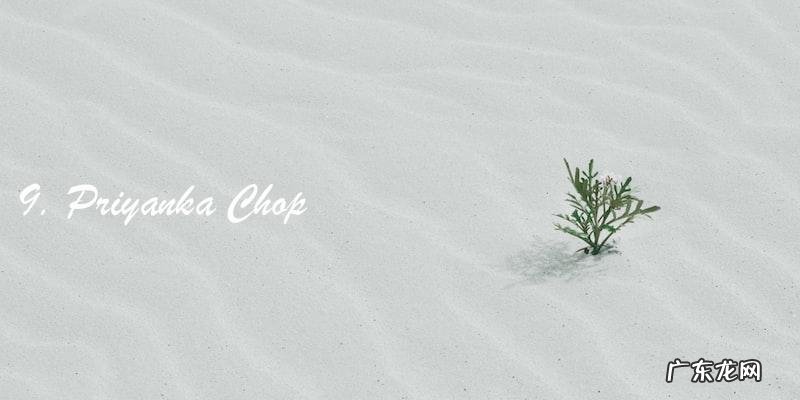 全球最美明星前100名