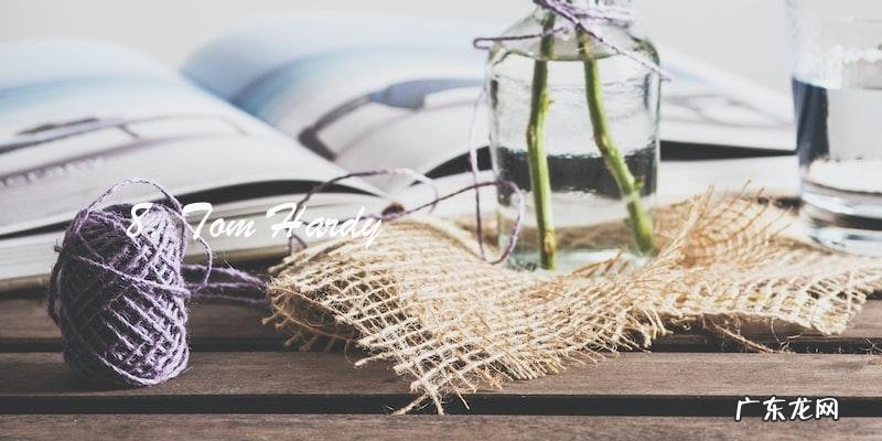 全球最美明星前100名