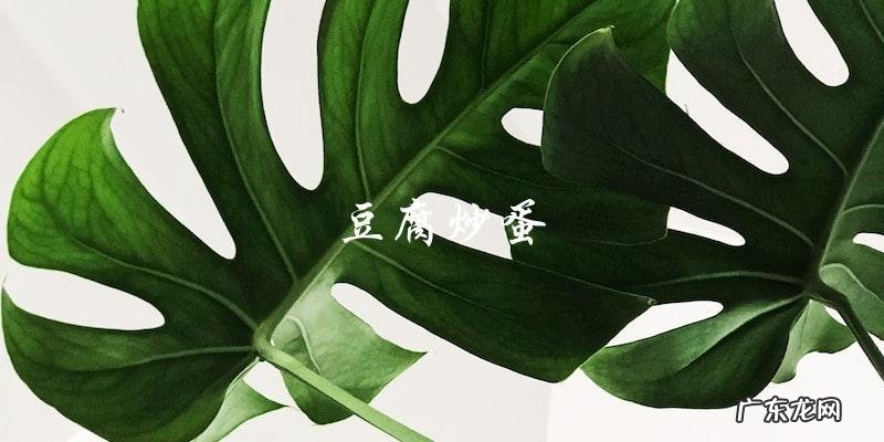 干豆腐的15种家常做法