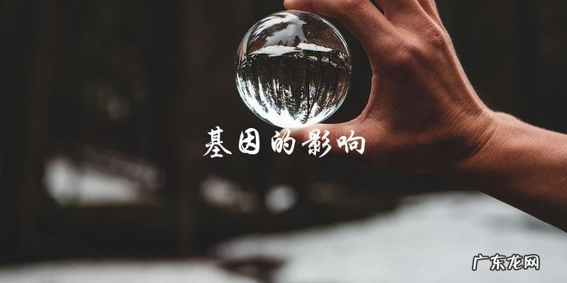 混血儿后代:一代不如一代?真相引发热议!