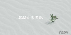 2022古装男配