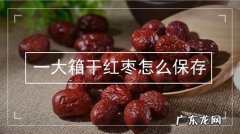 大枣怎么存放？学会这3点,大枣又脆又甜不烂果!