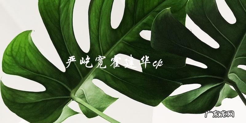 严屹宽霍建华cp的未公开故事,你想知道吗?