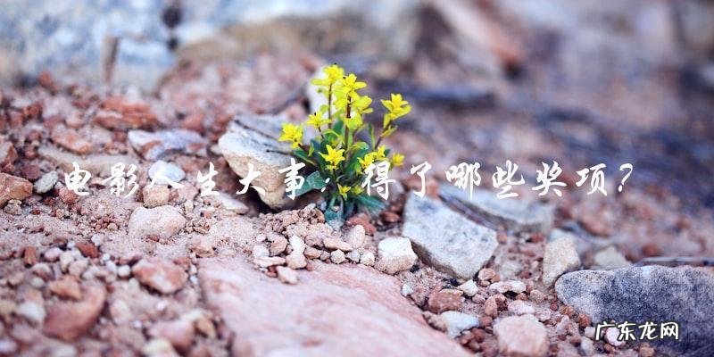 电影人生：他得了哪些大奖，改变了什么重要的事情？