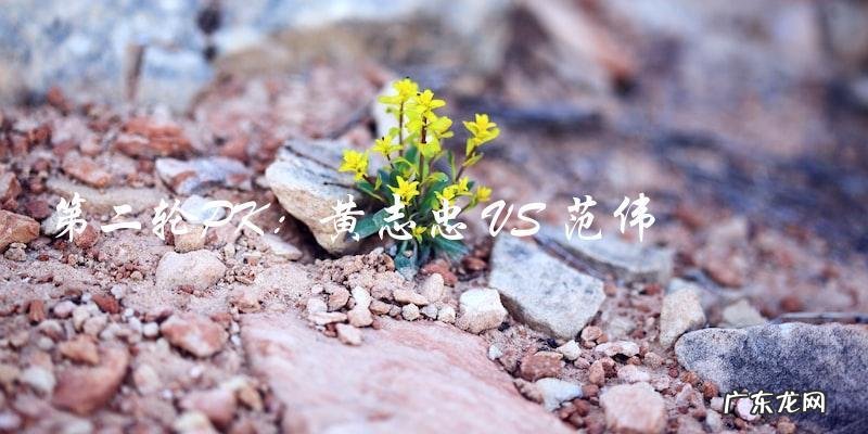 谁将成为下一个中年男神？40一60岁内地二线男演员大PK！