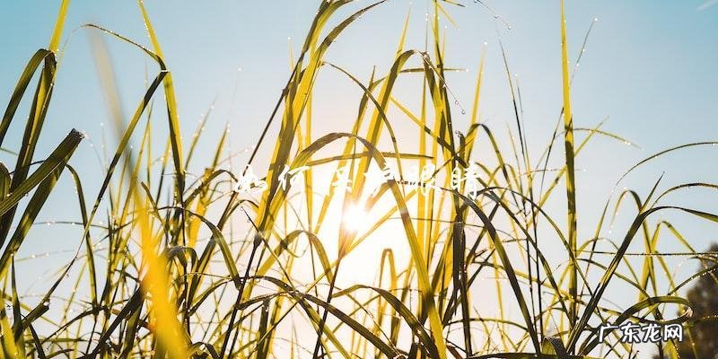 那双眼睛，隐藏了怎样的秘密？ &#8211; 描写眼睛的优美句子