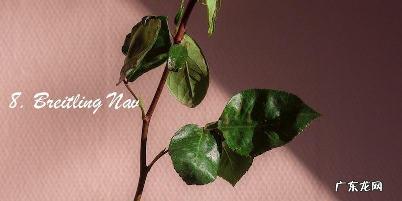 男士手表排行榜前10名