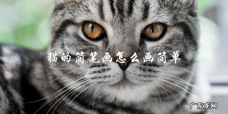 如何简单地画一只猫的简笔画?