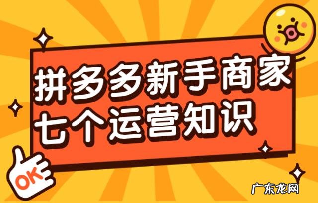 京东拼多多特点有哪些?看看就知道!