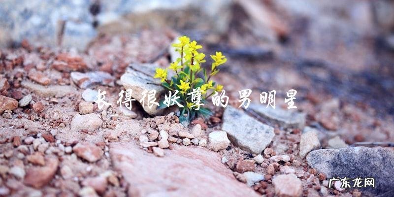 谁是长得妖孽的男明星?他们的神秘面纱!