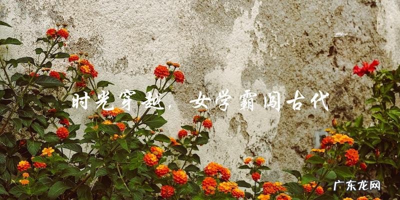 时光穿越,女学霸闯古代:她能否在古代获得自己的一片天空?