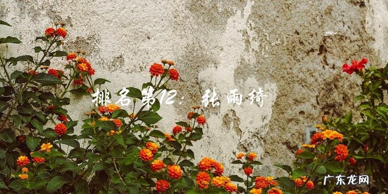 12位最美女明星排行榜,你猜谁是第一?