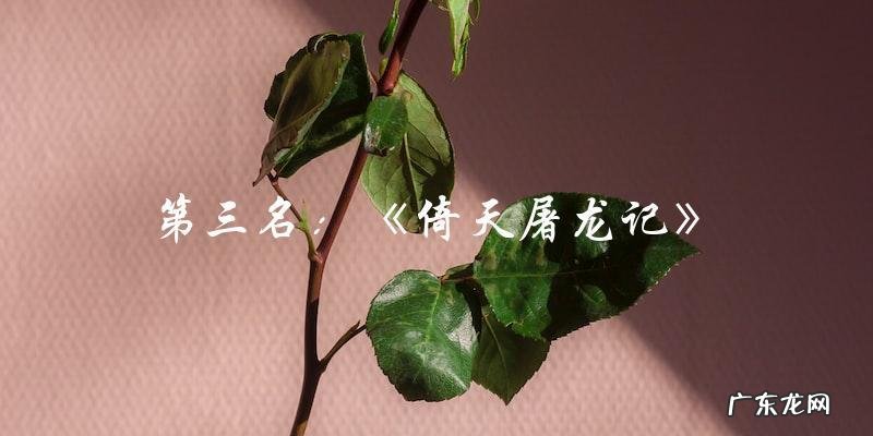 武打剧电视剧排名