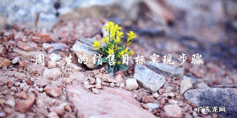 周大生的销售目标,能否实现?