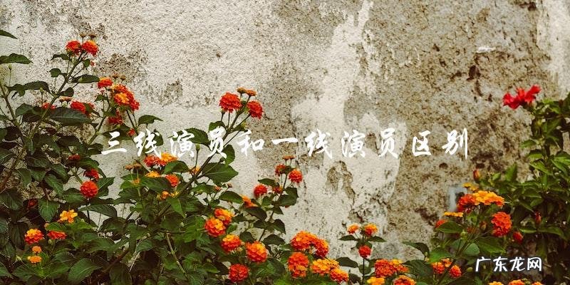 三线演员和一线演员的区别,你猜谁才是真正的荣耀之星?