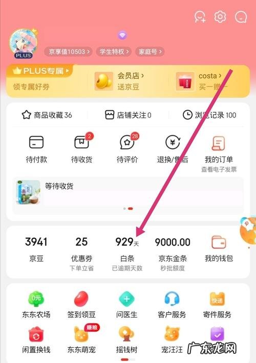 揭秘京东金融有哪些好玩的？看完你就知道了!