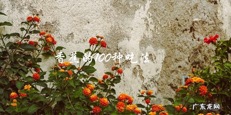 探索香蕉的百种美食,让你吃出不一样的口感!