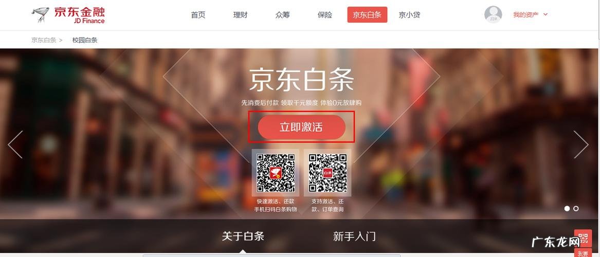 京东理财哪些值得买:京东白条1年能还多少钱?