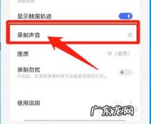 录屏怎么录内部声音
