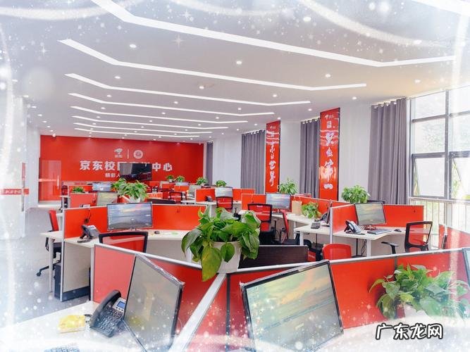 京东开发哪些产品？10年开发了1000万件,有你在用的吗？