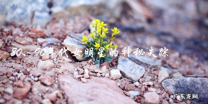 神秘失踪的80、90年代女明星，她们究竟去了哪里？