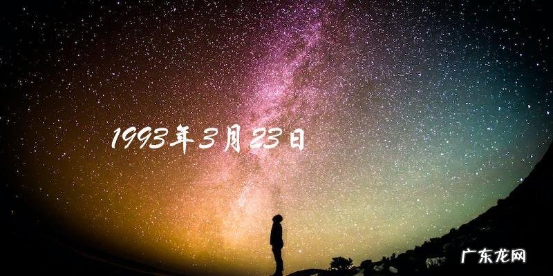 谁是1993年3月23日的神秘失踪者?