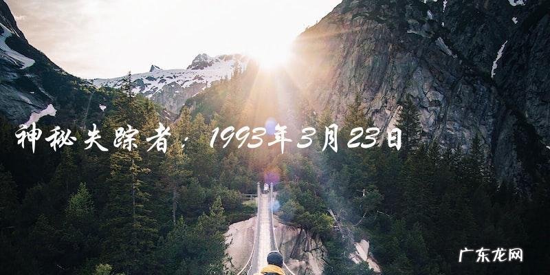 谁是1993年3月23日的神秘失踪者?