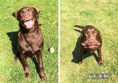 otp验证码是什么意思？otp验证码怎么查？OTP验证码是什么