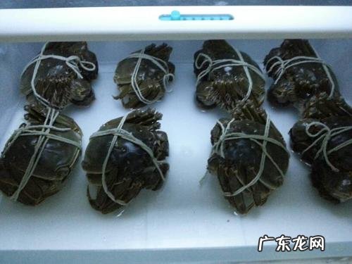 大闸蟹放冰箱冷冻还能吃吗？教你如何正确解冻,太实用了