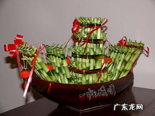 弯的富贵竹叫什么