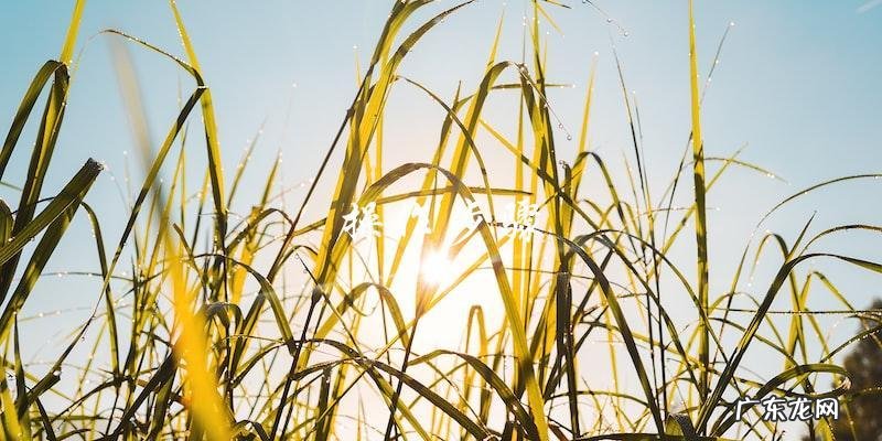 惊!湖南卫视真人秀片酬曝光,网友疯狂猜测明星身价!