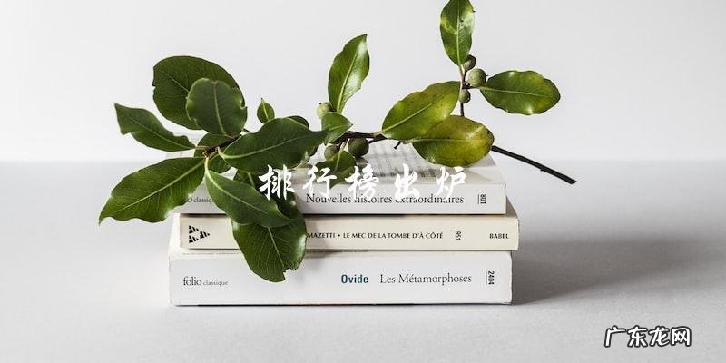 你猜猜,谁是95后男明星人气王?
