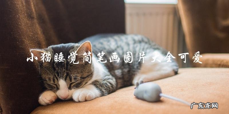 你喜欢小猫睡觉的简笔画吗?这里有一份可爱的图片大全!