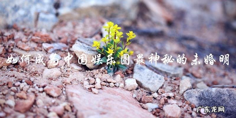 中国娱乐圈最神秘的未婚明星，至今仍单身！