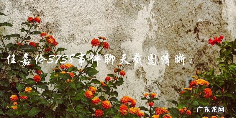 曝光!任嘉伦3738事件聊天截图清晰,真相令人震惊!