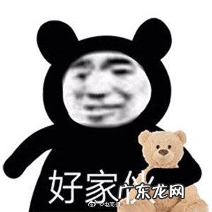 网络上的金句梗 最新网络用语大全