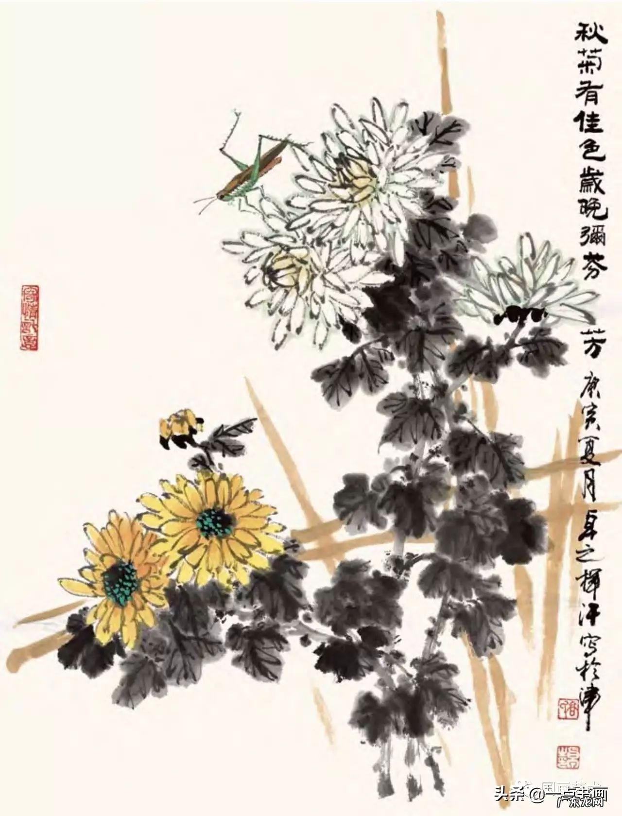 菊花如何画 菊花要怎么画