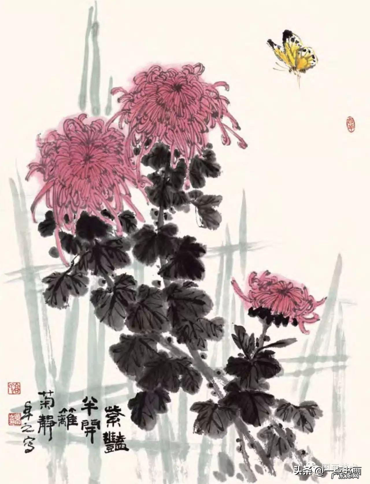 菊花如何画 菊花要怎么画