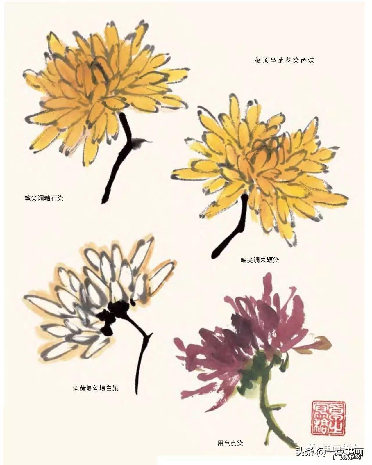 菊花如何画 菊花要怎么画