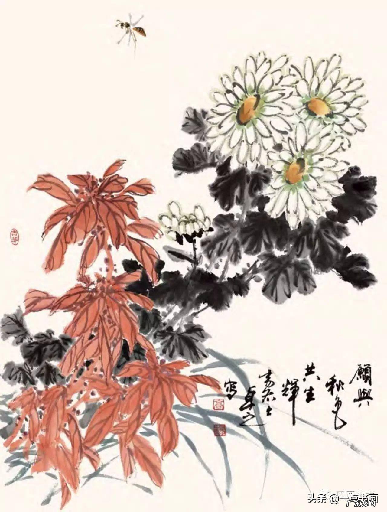 菊花如何画 菊花要怎么画